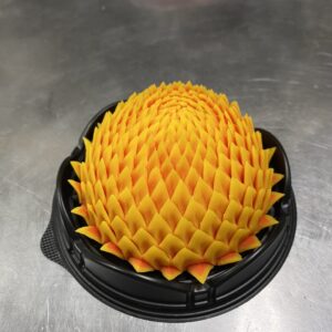 ハサミ菊(下段)