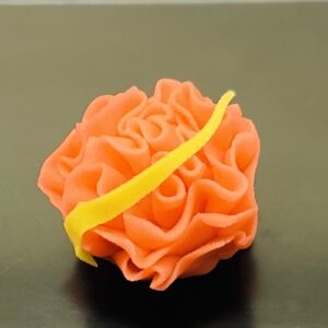 カーネーション