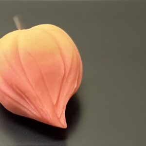 鬼灯（ほおずき）