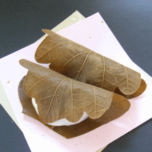 柏餅（こし、粒、味噌）