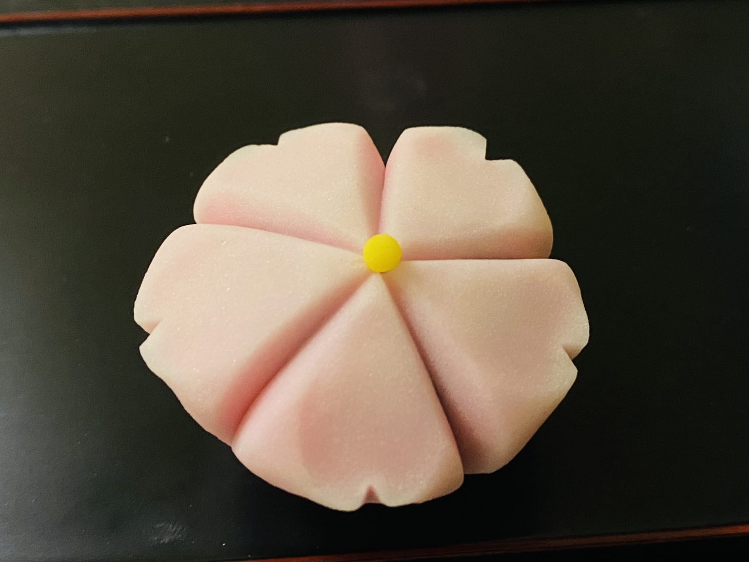 乙女桜 新宿栄光堂