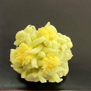 菜の花（きんとん）